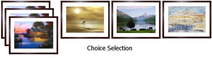 Choice Select